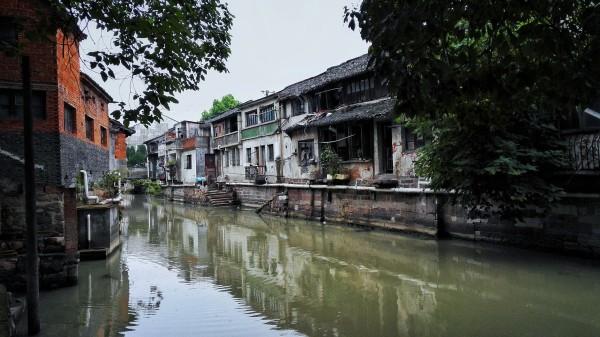 探寻喝什么饮料对人体健康有好处,畅想问答社区之美